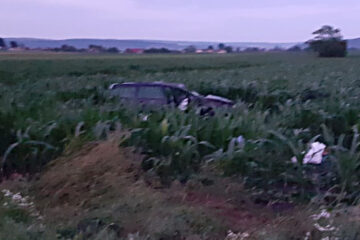 La Secuieni, un autoturism a părăsit partea carosabilă și s-a răsturnat într-un lan de porumb