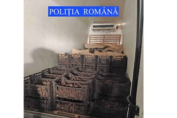 Polițiștii nemțeni au găsit trufe negre, în valoare de 600.000 lei (1.200 kg), în mașina unui italian