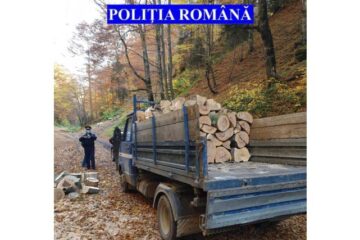 Acțiuni ale polițiștilor nemțeni pentru protejarea domeniului silvic. Sancțiuni și lemne confiscate în urma acțiunilor