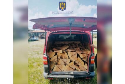 Material lemnos confiscat de polițiștii romașcani din două autoutilitare care se deplasau pe str. B. Dragoș