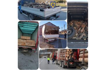 Acțiuni pentru combaterea delictelor silvice: 71 de sancțiuni contravenționale și lemne confiscate