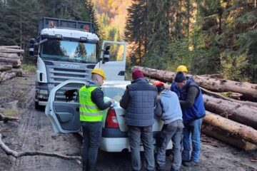 ITM Neamț: verificări la firmele din domeniul exploatării forestiere și transportul de masă lemnoasă