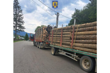 Acțiuni pe linia verificării modului în care se respectă normele referitoare la transportul materialelor lemnoase
