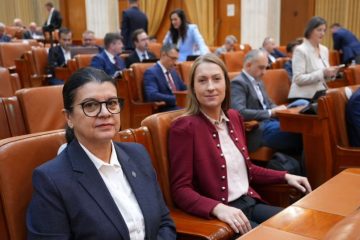 Deputat Neacșu Andreea-Firuța – activitate în plenul Camerei Deputaților