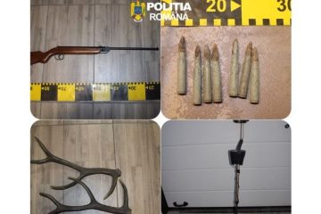 În urma perchezițiilor efectuate de polițiștii nemțeni au fost identificate 4 scutere proveniență Belgia, un ATV, 9 telefoane mobile, o armă și cartușe În urma perchezițiilor efectuate de polițiștii nemțeni au fost identificate 4 scutere proveniență Belgia, un ATV, 9 telefoane mobile, o armă și cartușe